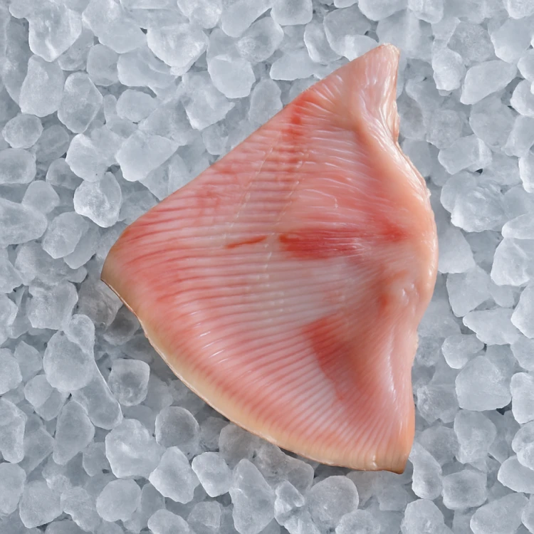 c00666b4-5100-42cb-b4b5-9ccf06ab8136.png