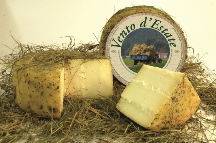 vento d'estate.jpg